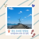 대부권 주말 | 안산시티투어 | 테마여행