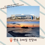 대부권 주말 | 안산시티투어 | 테마여행