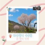 대부권 주말 | 안산시티투어 | 테마여행