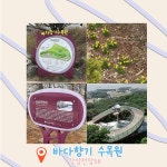 대부권 주말 | 안산시티투어 | 테마여행