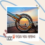 대부권 평일 | 안산시티투어 | 테마여행