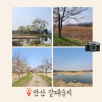 시내권 평일 | 안산시티투어 | 테마여행