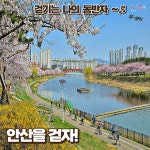비만관리 | 건강증진사업 | 보건소사업안내 | 단원보건소 |