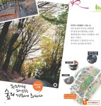 상록산책숲길 | 노적봉 숲속길