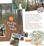 상록산책숲길 | 팔곡산 숲속길