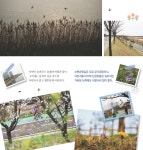 상록산책숲길 | 수변공원길