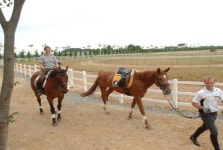 체험여행 | 테마여행 |