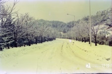 안성8경 > 안성컬렉션 >