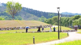 전경·풍경 > 카테고리별 >