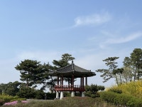 시설소개 및 예약 | 안성맞춤랜드 | 천문과학관 | 안성시 문화관광