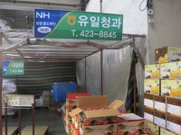 중식 - 안양시청