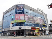 관광호텔 - 문화관광