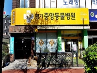 관광호텔 - 내맘애안양