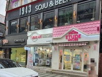 관광호텔 - 문화관광