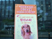 관광호텔 - 내맘애안양
