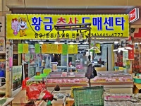 생활서비스 - 안양시청