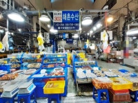 관광호텔 - 내맘애안양