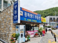 관광호텔 - 내맘애안양