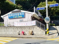 경기으뜸맛집 - 내맘애안양