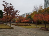 안양시 대표홈페이지