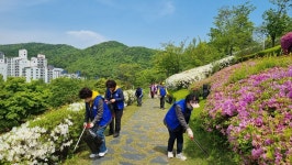 안양비전 뉴스 - 안양시 소통시장실