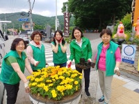사진소식 목록 - 비산3동 - 동안구청