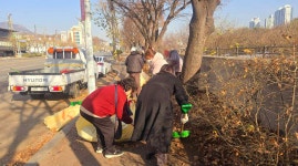 사진소식 목록 - 비산3동 - 동안구청