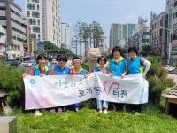 사진소식 목록 - 호계1동 - 동안구청