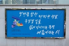 사진소식 목록 - 호계2동 - 동안구청