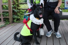 활동후기 - 동물보호복지플랫폼