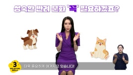 새소식 내용 - 안양시청