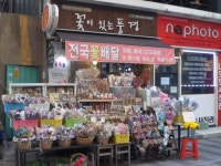 관광호텔 - 문화관광