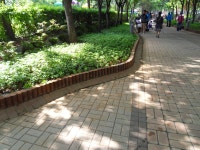 사진소식 목록 - 부림동 - 동안구청