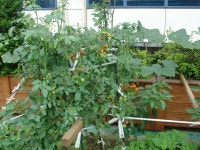 사진소식 목록 - 범계동 - 동안구청