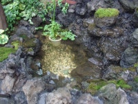 사진소식 목록 - 범계동 - 동안구청