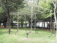 사진소식 목록 - 범계동 - 동안구청