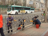 사진소식 목록 - 범계동 - 동안구청