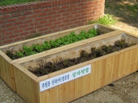 사진소식 목록 - 부림동 - 동안구청