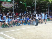 사진소식 - 동안구청