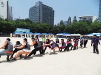 사진소식 목록 - 부림동 - 동안구청