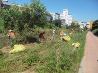 사진소식 목록 - 호계3동 - 동안구청