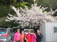 사진소식 목록 - 안양6동 - 만안구청