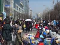 사진소식 - 동안구청