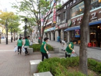 사진소식 - 동안구청