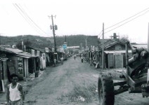 사진소식 - 동안구청
