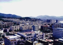 사진소식 - 동안구청