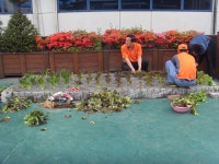 사진소식 목록 - 범계동 - 동안구청