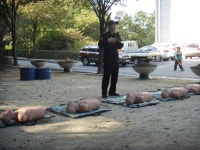 사진소식 - 동안구청