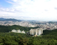 일반현황 목록 - 비산1동 - 동안구청