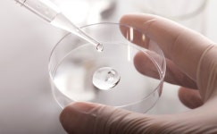 Ingredients | Amorepacific